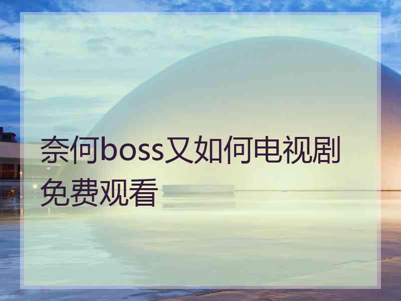 奈何boss又如何电视剧免费观看