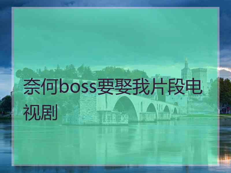 奈何boss要娶我片段电视剧