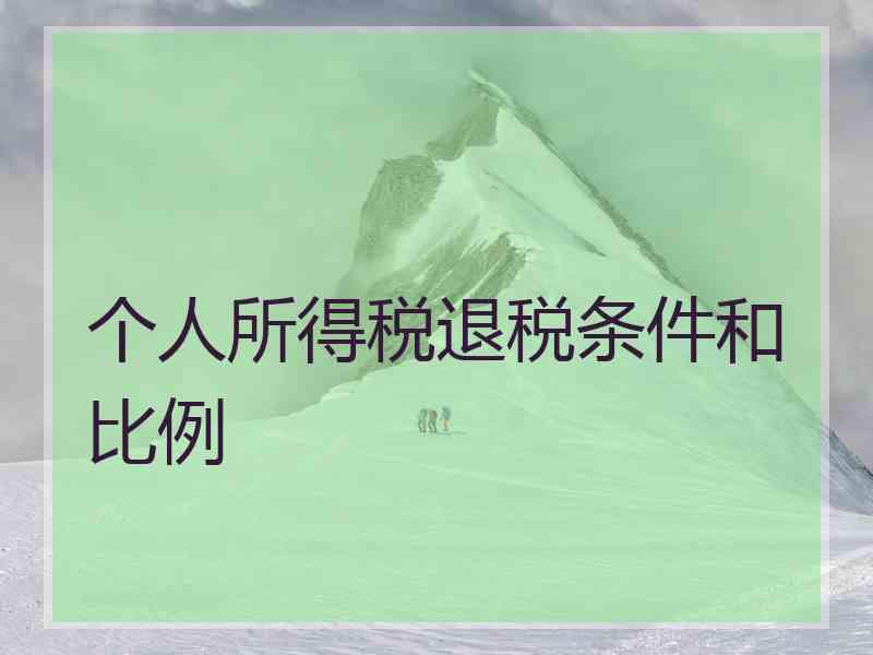 个人所得税退税条件和比例