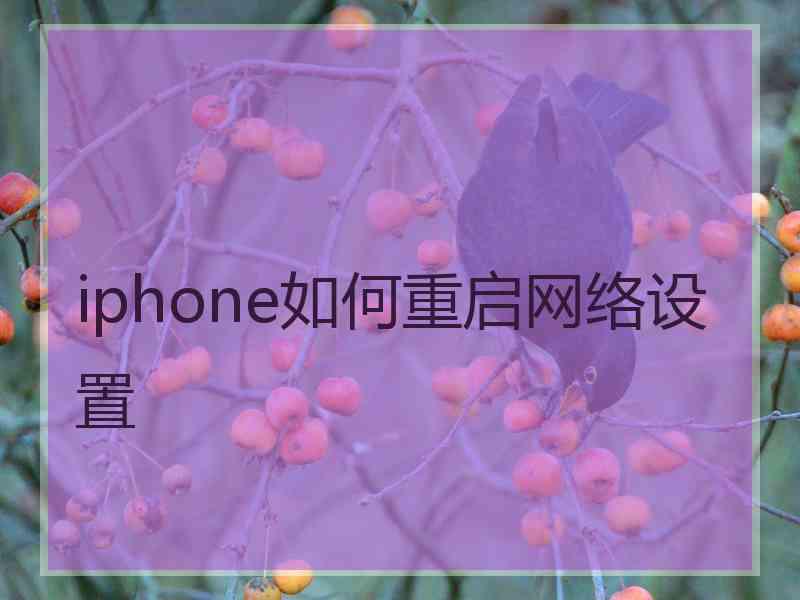 iphone如何重启网络设置