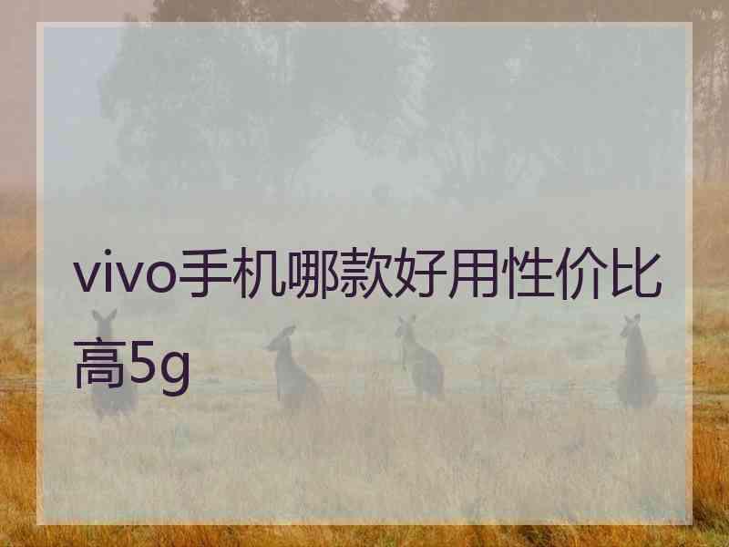 vivo手机哪款好用性价比高5g