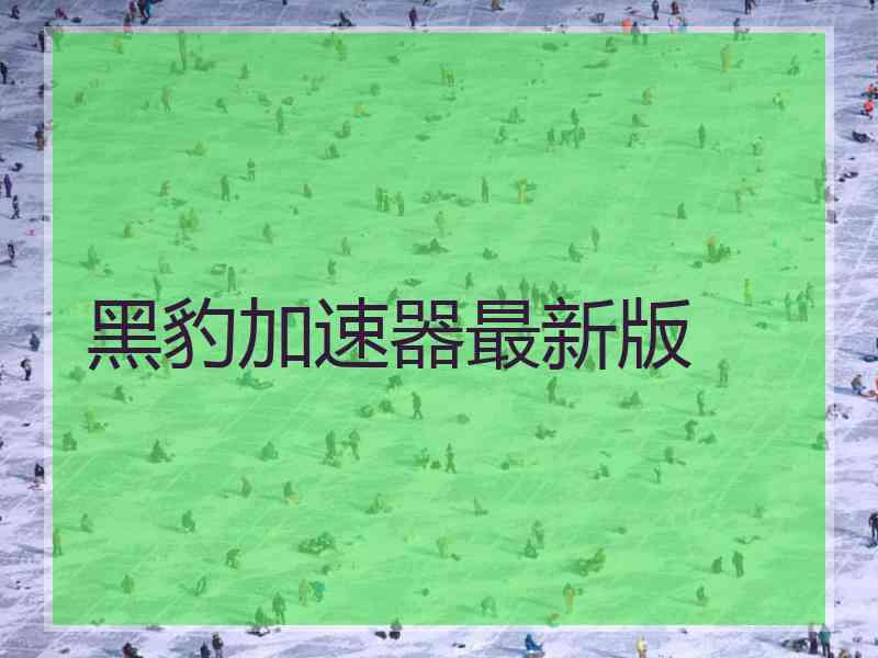 黑豹加速器最新版