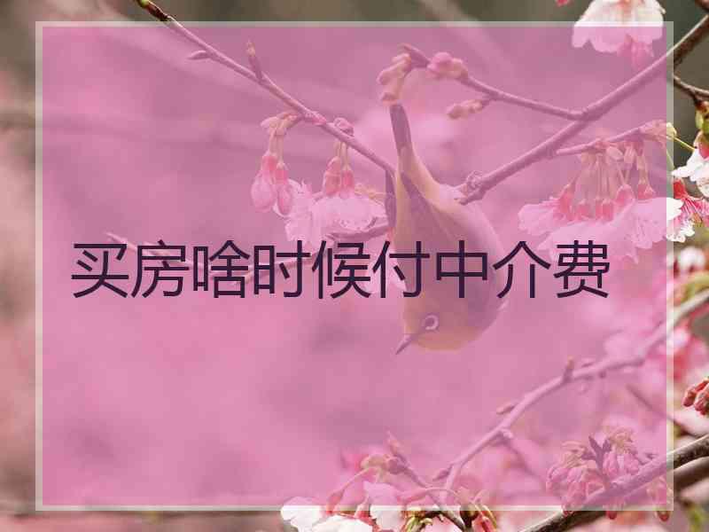 买房啥时候付中介费