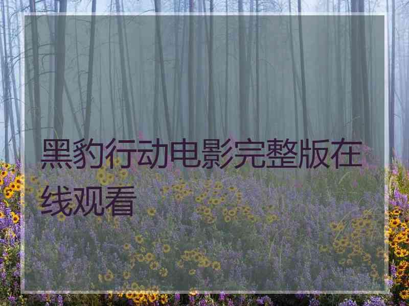 黑豹行动电影完整版在线观看