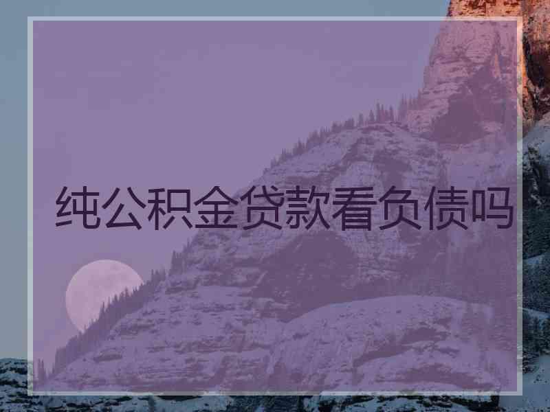 纯公积金贷款看负债吗