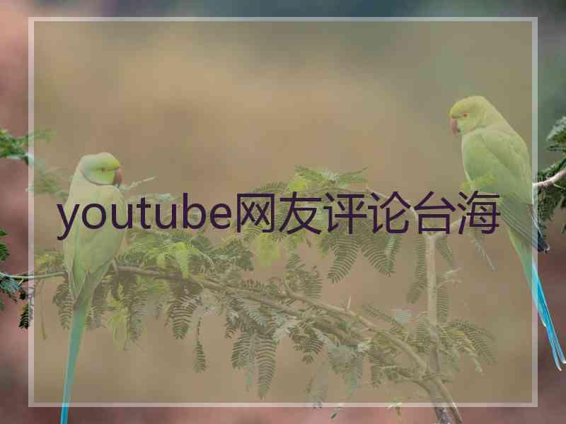 youtube网友评论台海