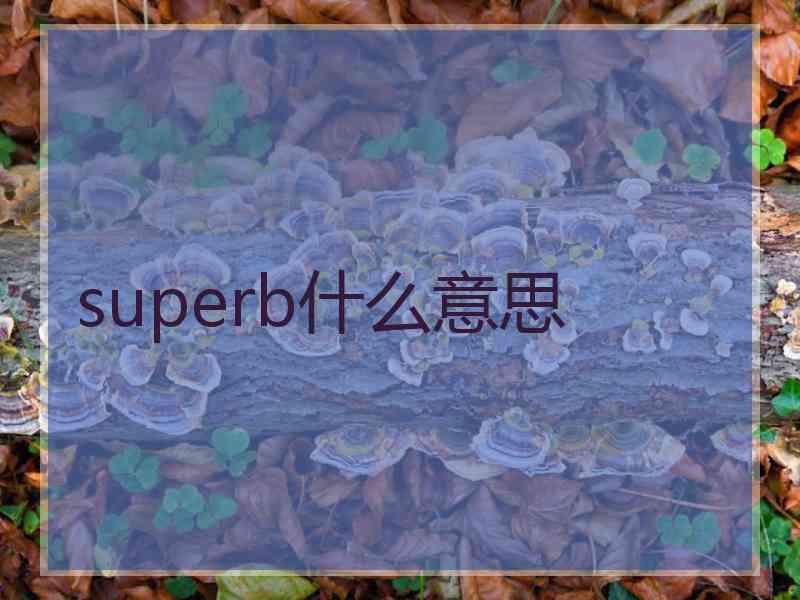 superb什么意思