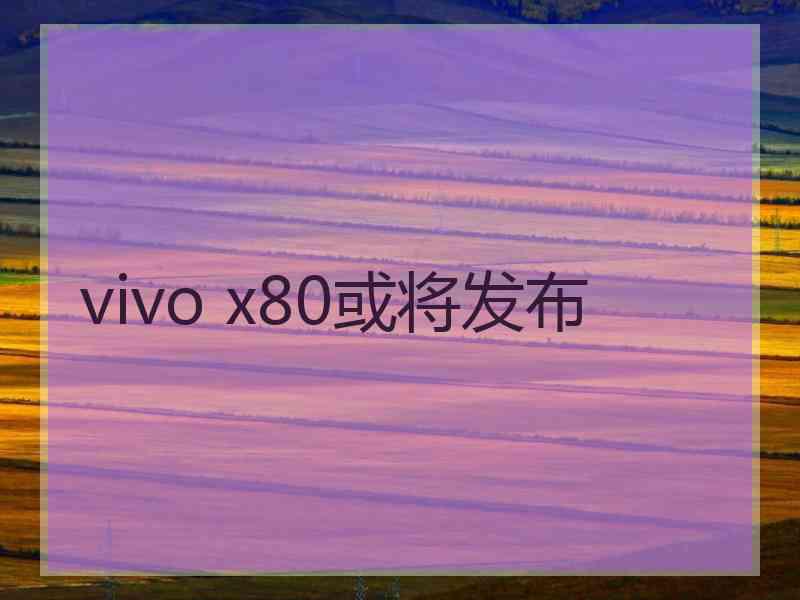 vivo x80或将发布