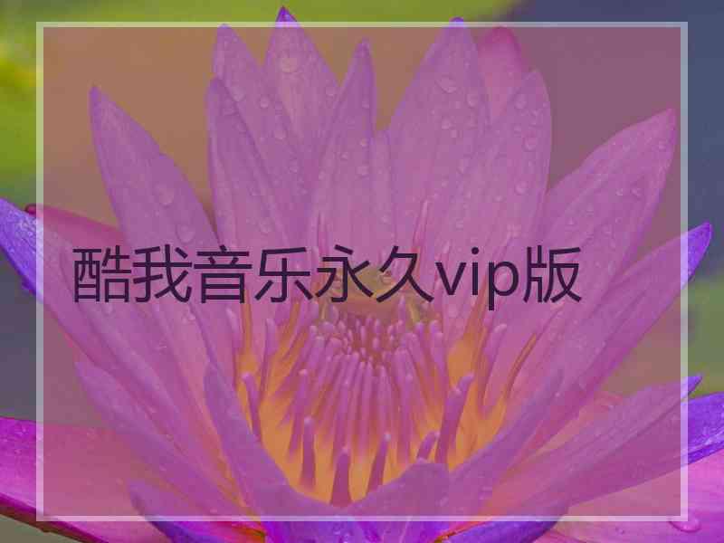 酷我音乐永久vip版