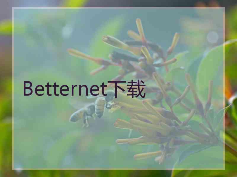 Betternet下载