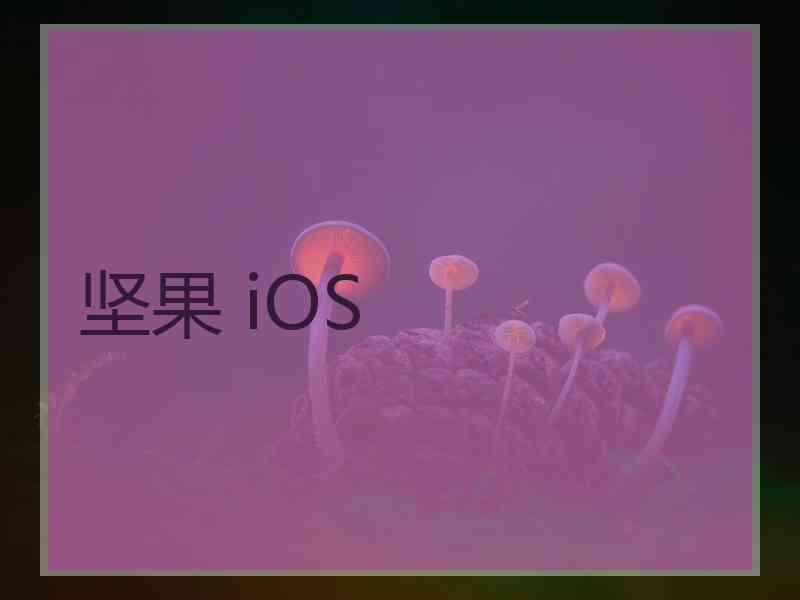 坚果 iOS