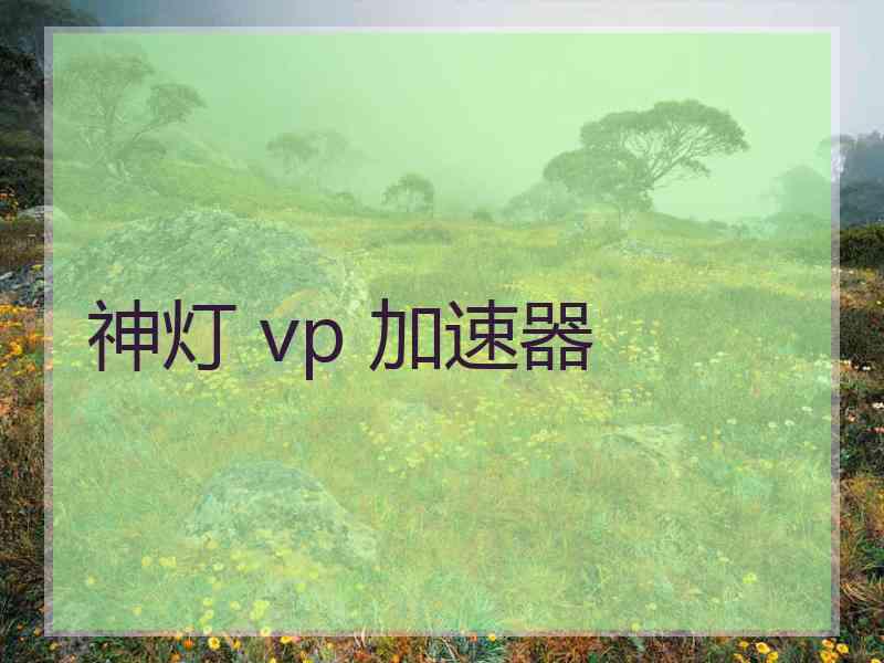 神灯 vp 加速器