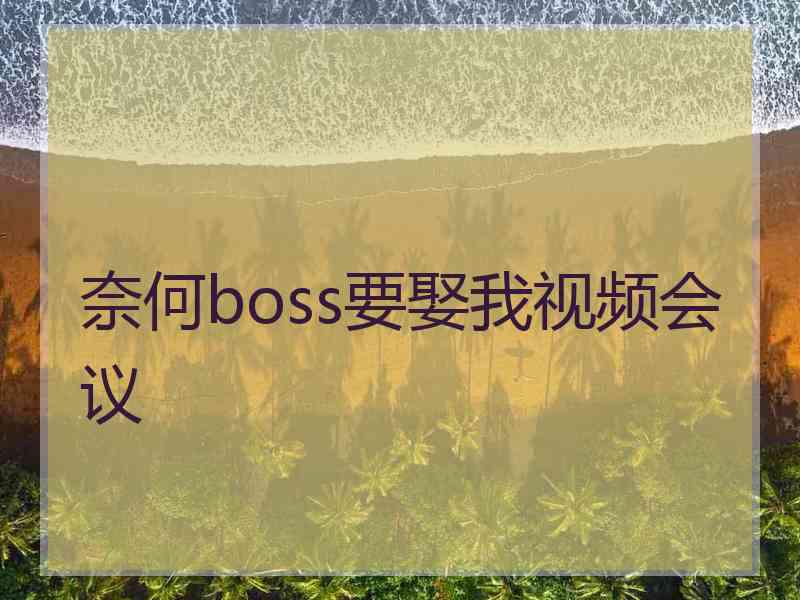 奈何boss要娶我视频会议