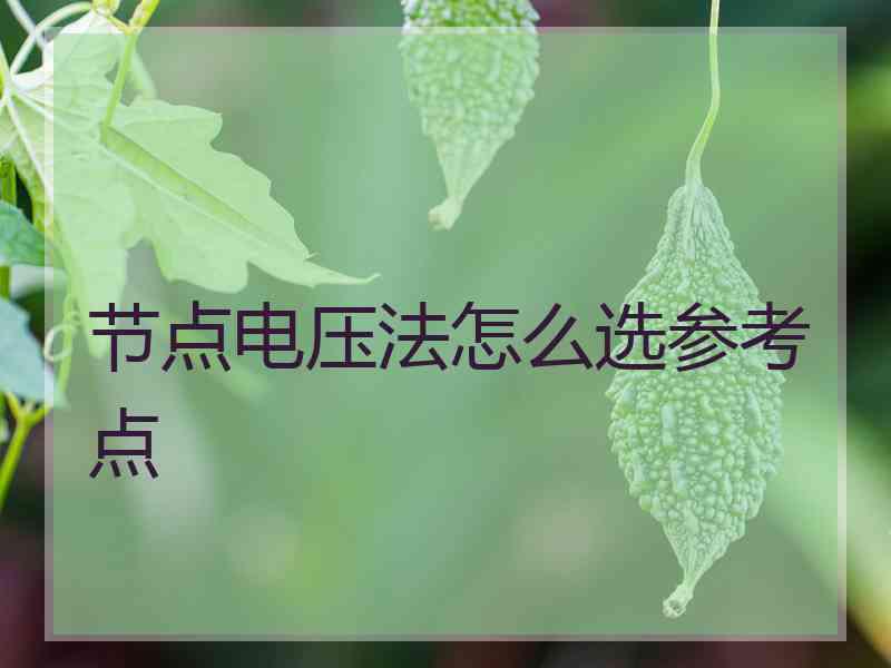 节点电压法怎么选参考点