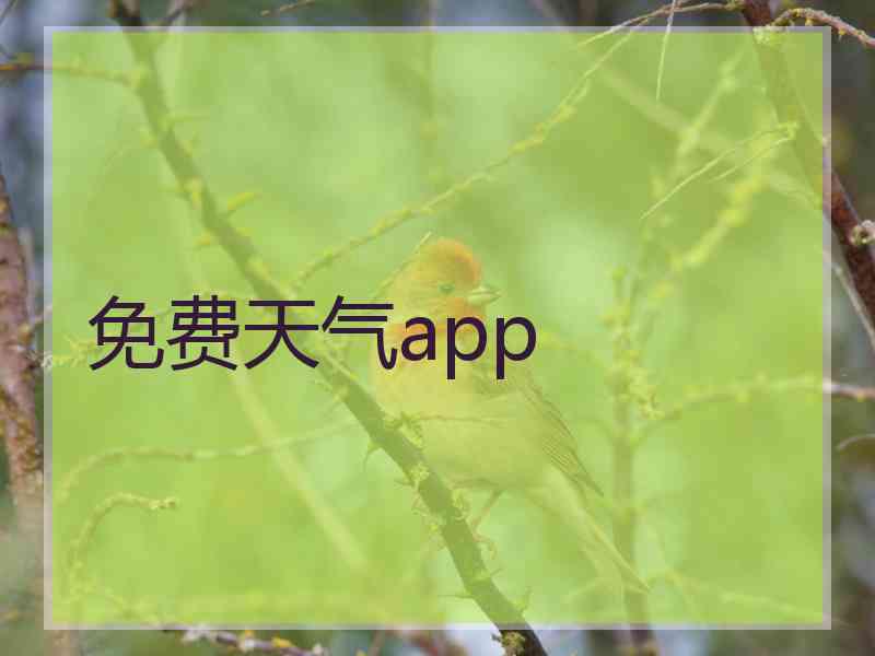 免费天气app