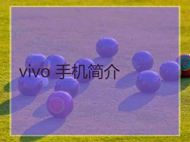 vivo 手机简介