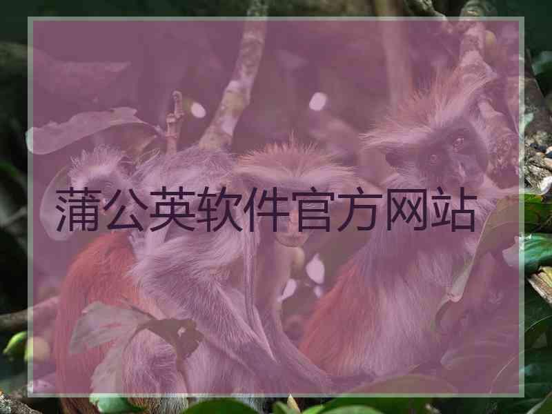 蒲公英软件官方网站