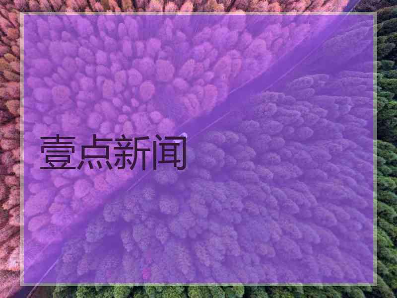 壹点新闻