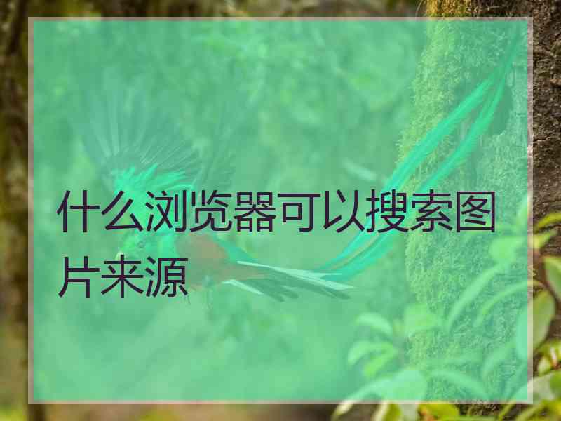 什么浏览器可以搜索图片来源