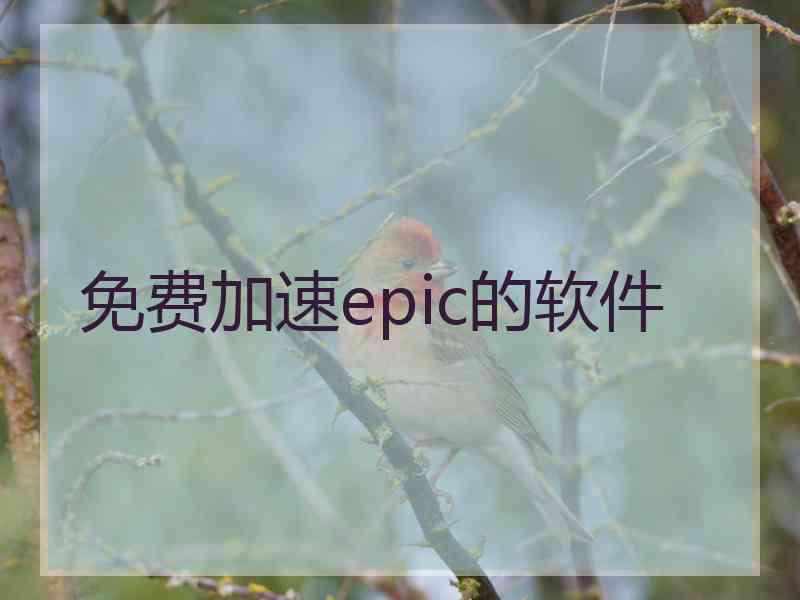 免费加速epic的软件