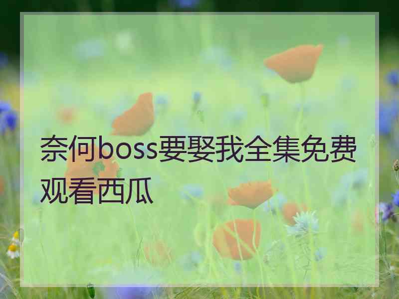 奈何boss要娶我全集免费观看西瓜