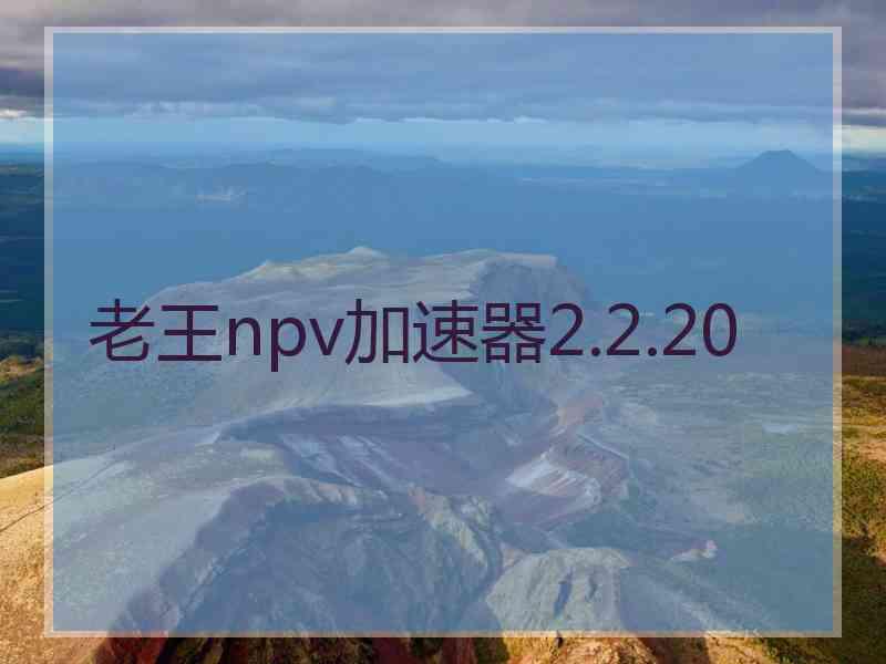 老王npv加速器2.2.20