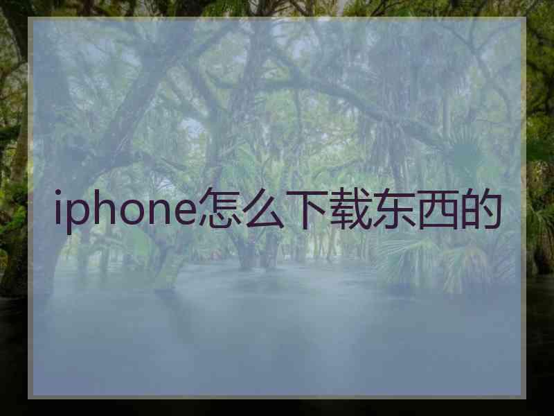 iphone怎么下载东西的