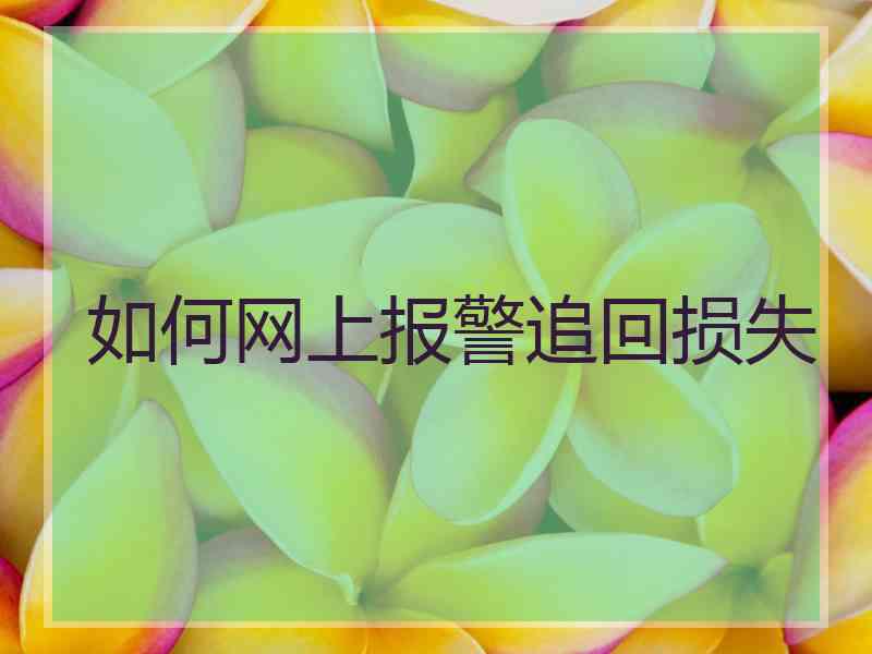 如何网上报警追回损失