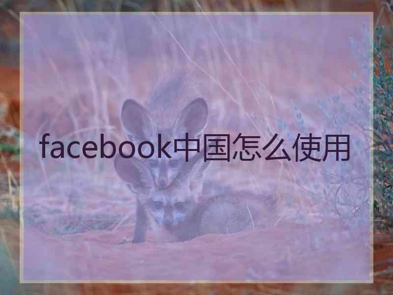 facebook中国怎么使用