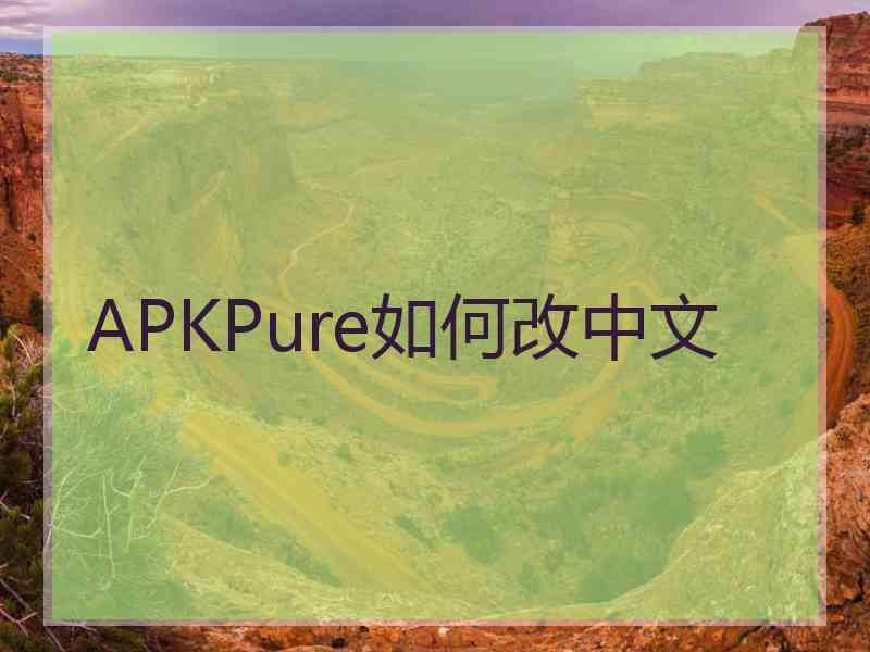 APKPure如何改中文