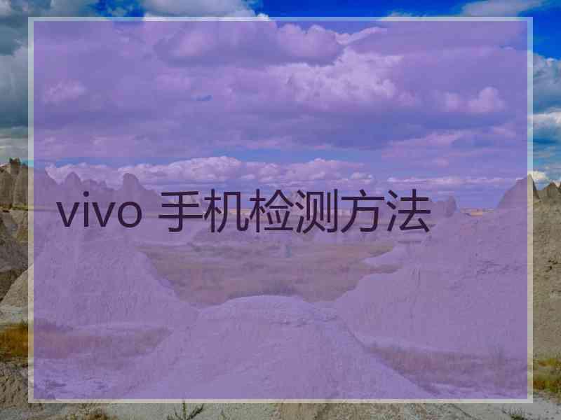 vivo 手机检测方法