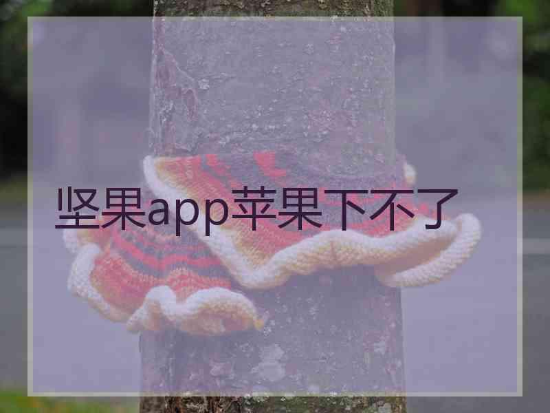 坚果app苹果下不了