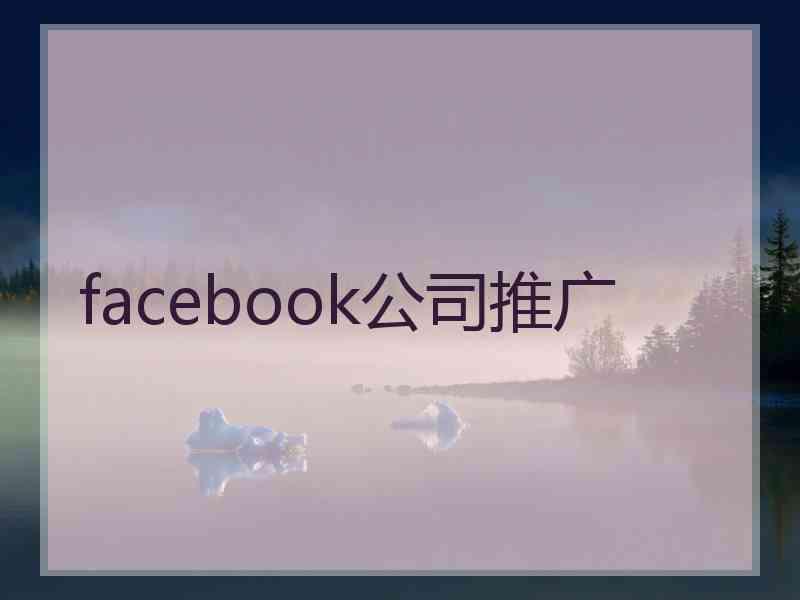 facebook公司推广