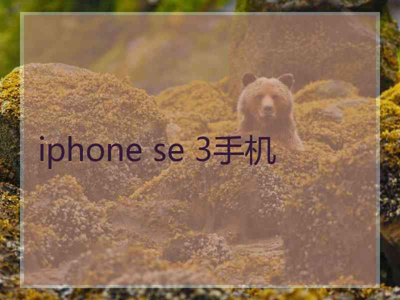 iphone se 3手机