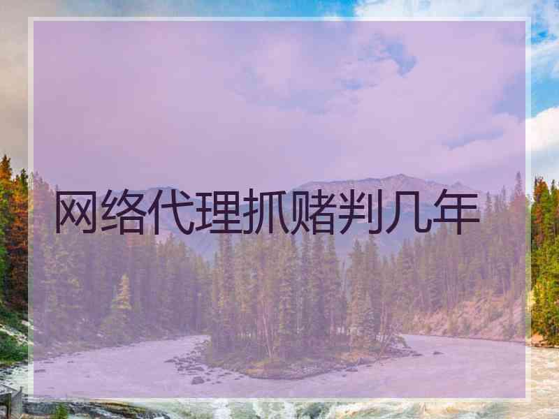 网络代理抓赌判几年