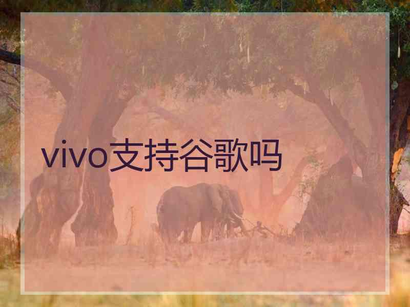 vivo支持谷歌吗