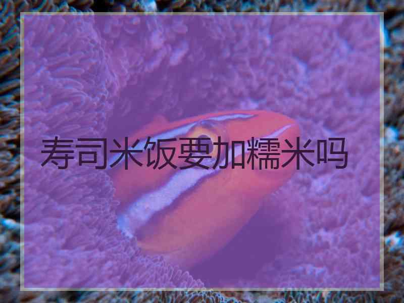 寿司米饭要加糯米吗