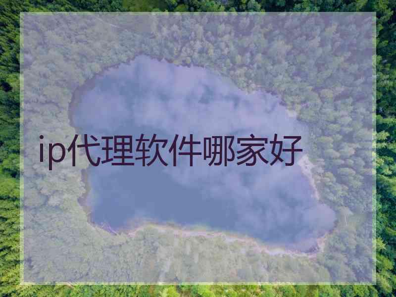 ip代理软件哪家好