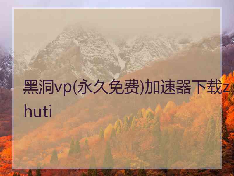 黑洞vp(永久免费)加速器下载zhuti