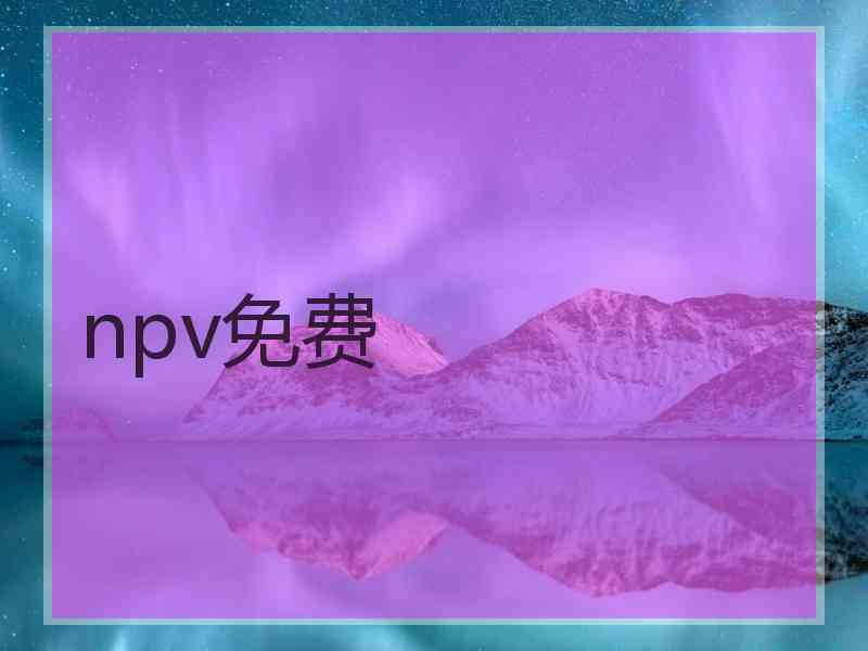 npv免费