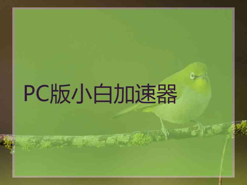 PC版小白加速器