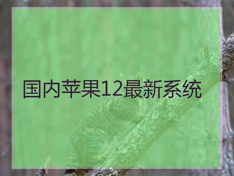 国内苹果12最新系统