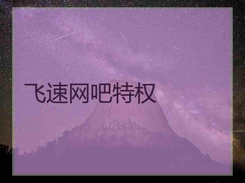 飞速网吧特权