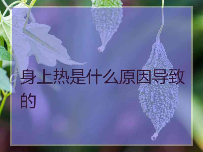 身上热是什么原因导致的