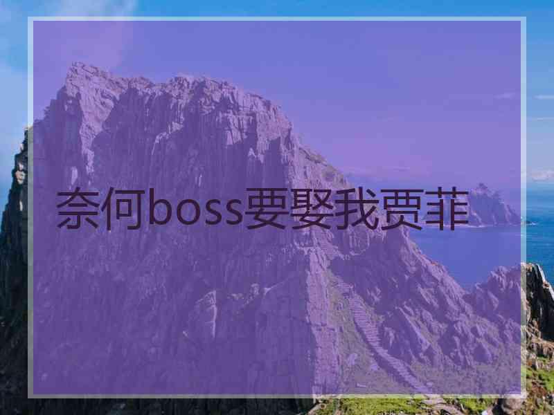 奈何boss要娶我贾菲