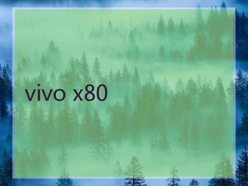 vivo x80