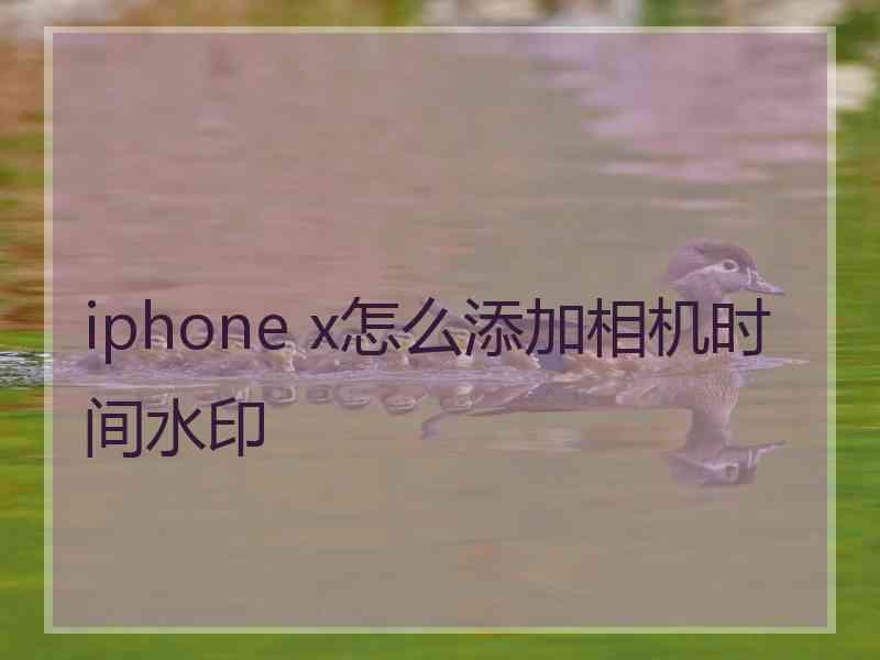 iphone x怎么添加相机时间水印