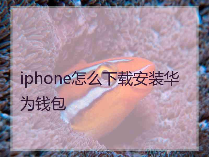 iphone怎么下载安装华为钱包