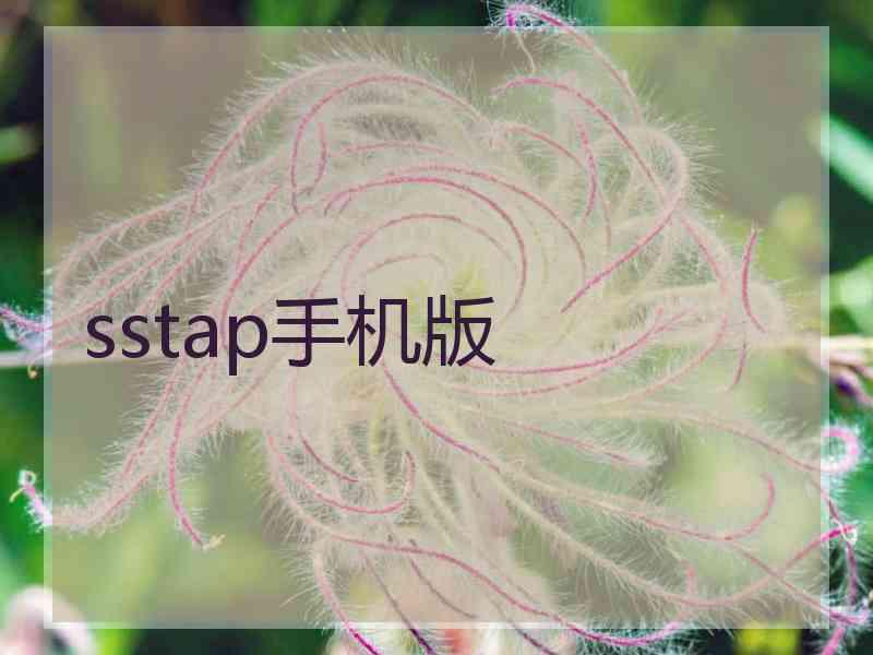 sstap手机版