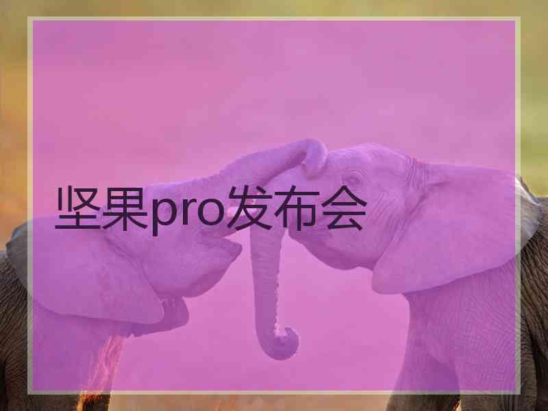 坚果pro发布会